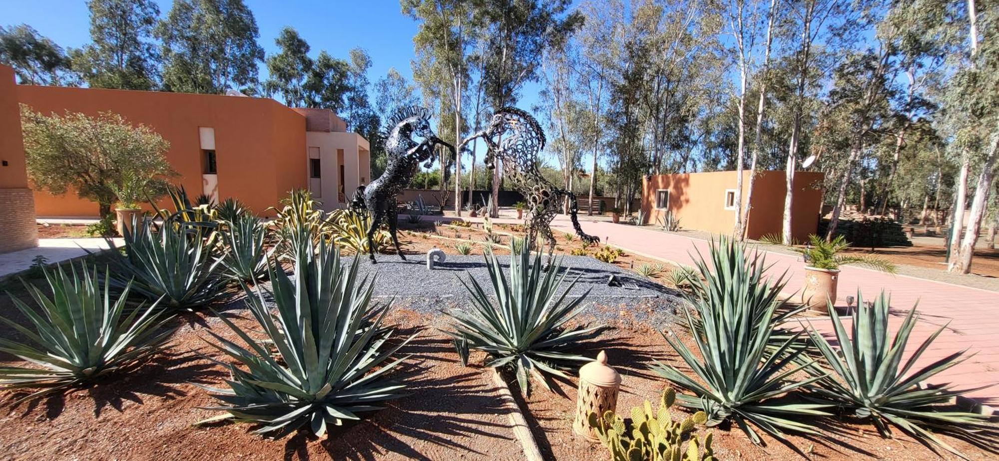 Villa Le Jardin De Jeanne Marrakesh Esterno foto